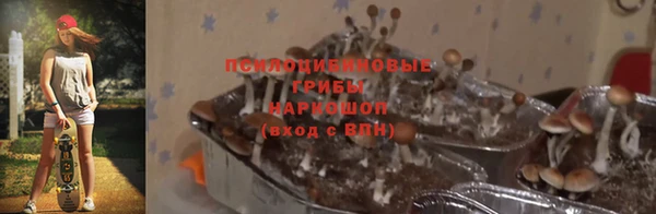 spice Армянск